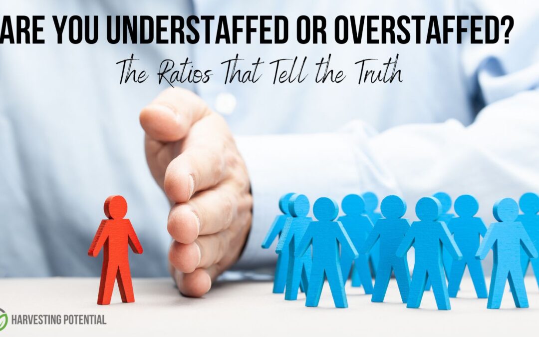 Are You Overstaffed or Understaffed? The Ratios That Tell the Truth